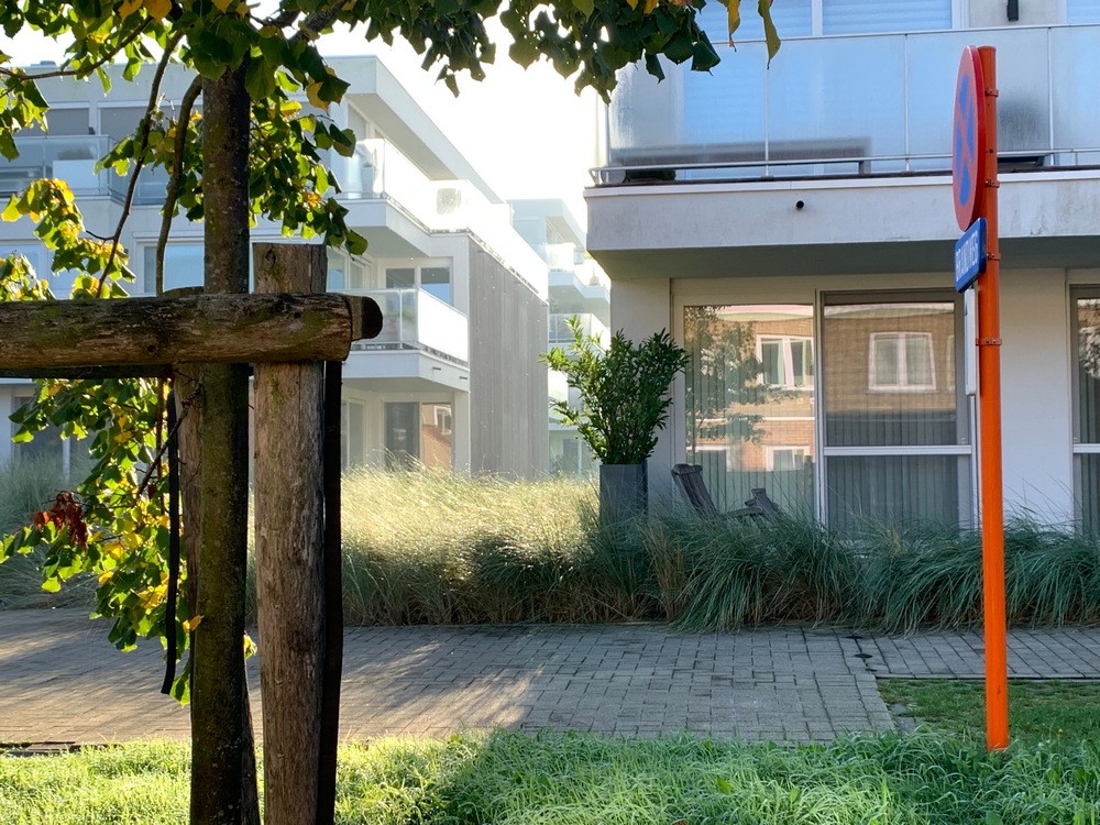 Crepigevel in Nieuwpoort vóór de reiniging